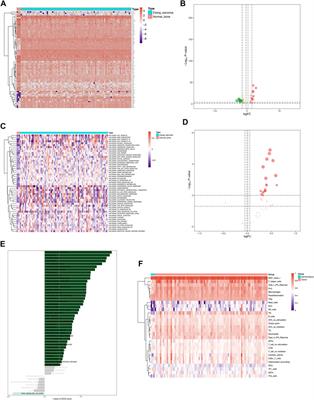 Repression of enhancer RNA PHLDA1 promotes tumorigenesis and progression of Ewing sarcoma via decreasing infiltrating T‐lymphocytes: A bioinformatic analysis